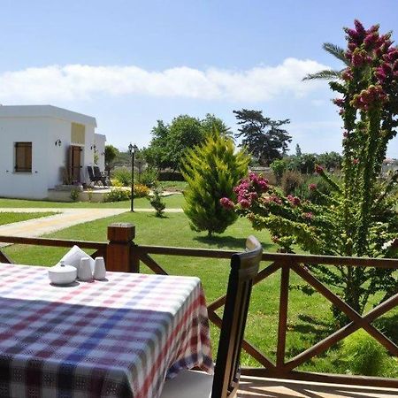 Villa Lembos Hotel Karpaz Rizokarpaso Exteriör bild